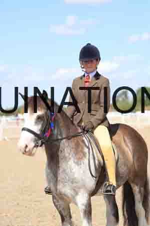 TOM-1808