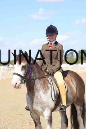 TOM-1809