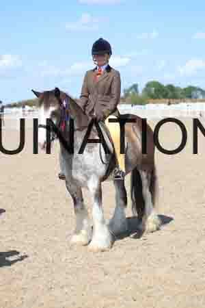 TOM-1810