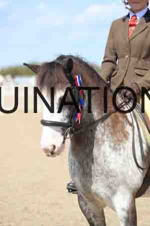 TOM-1812
