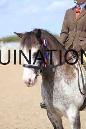 TOM-1813