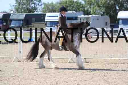 TOM-1814