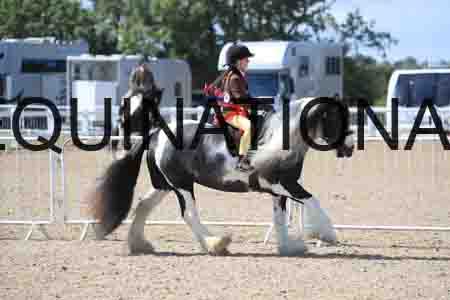 TOM-1816