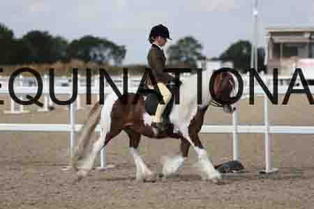 TOM-1820