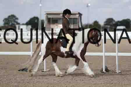 TOM-1821