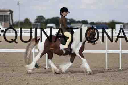TOM-1822