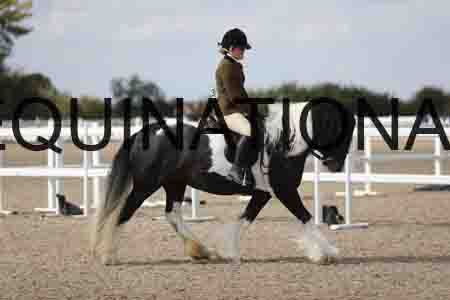 TOM-1823
