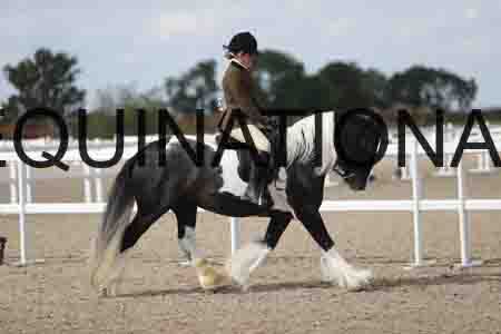 TOM-1824