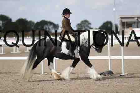 TOM-1825