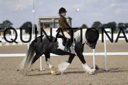 TOM-1826