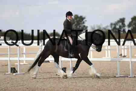 TOM-1828