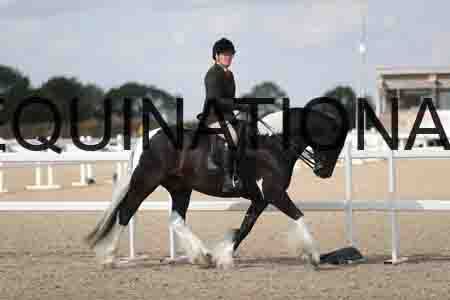TOM-1829