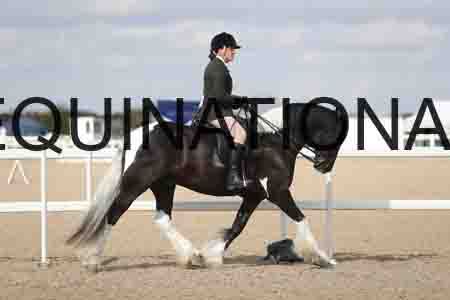 TOM-1832
