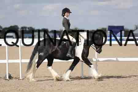 TOM-1837
