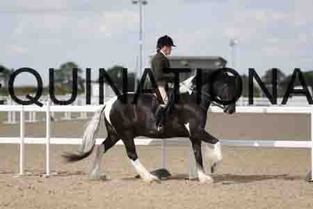 TOM-1838
