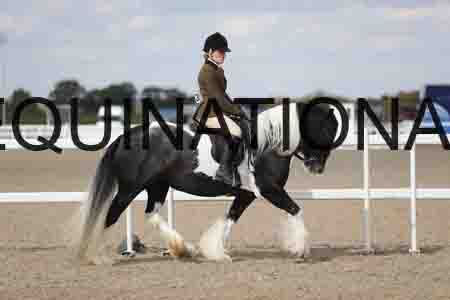TOM-1843