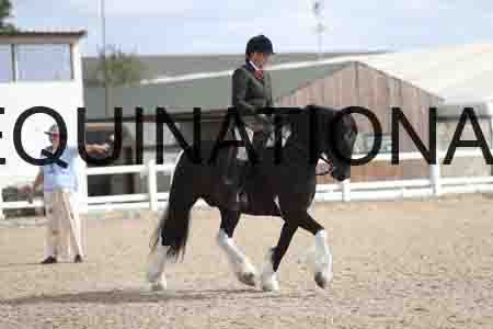 TOM-1853