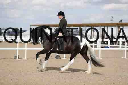 TOM-1865