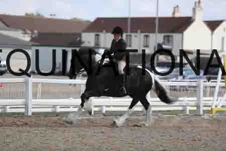 TOM-1874