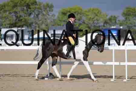 CRY-1127