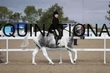 CRY-1181