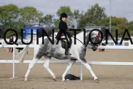 CRY-1258