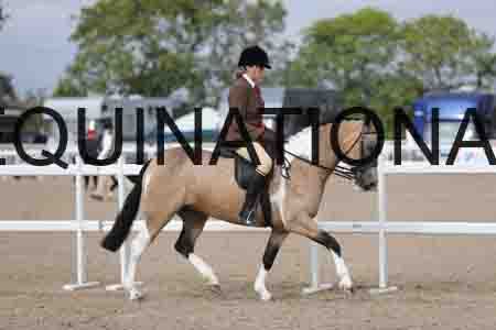 CRY-1259