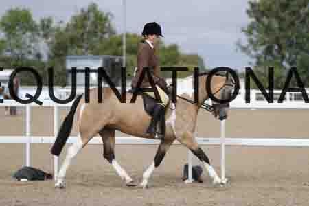CRY-1261