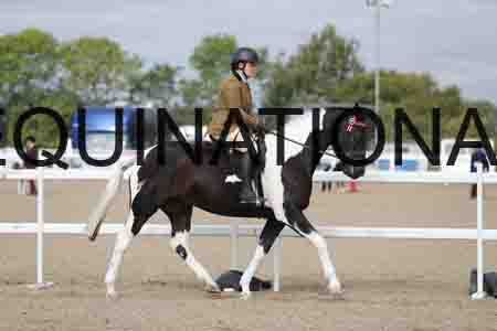 CRY-1266