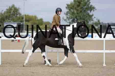 CRY-1267