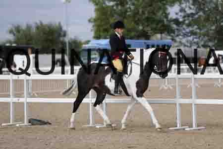 CRY-1268
