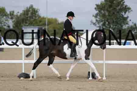 CRY-1272