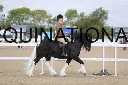 CRY-1292