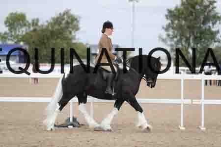 CRY-1293