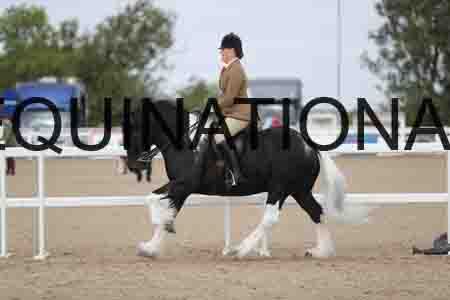 CRY-1378