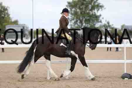 CRY-1462