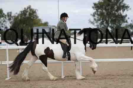 CRY-1471