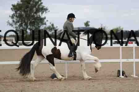 CRY-1472