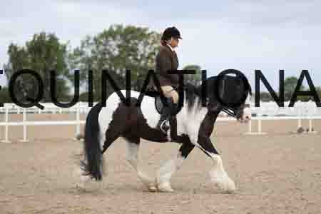 CRY-1489