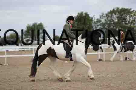 CRY-1492