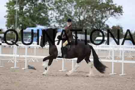 CRY-1505