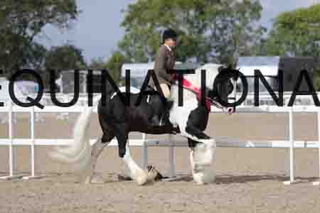CRY-1526