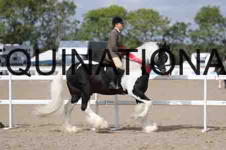 CRY-1527