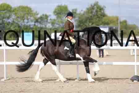 CRY-1533