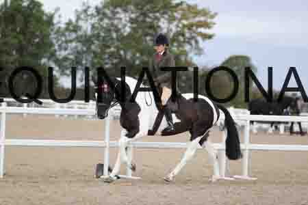 CRY-1566