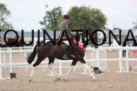 CRY-1596