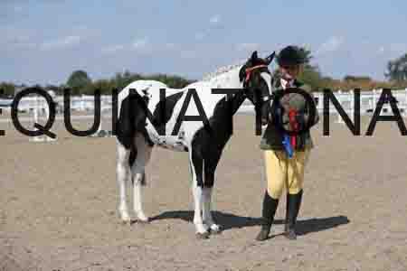 CRY-1639