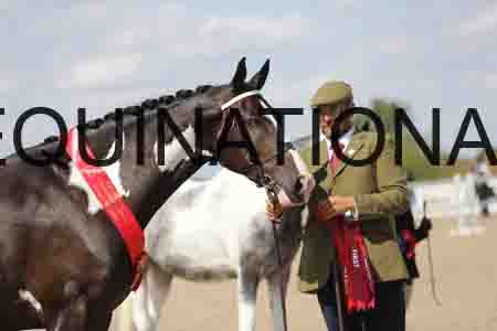 CRY-1737