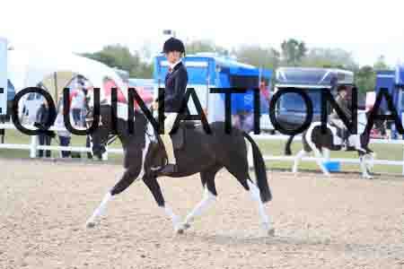 LAV-1121