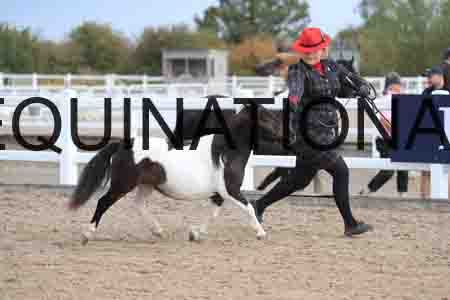 JIP-1133